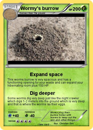 Pokemon Wormy's burrow