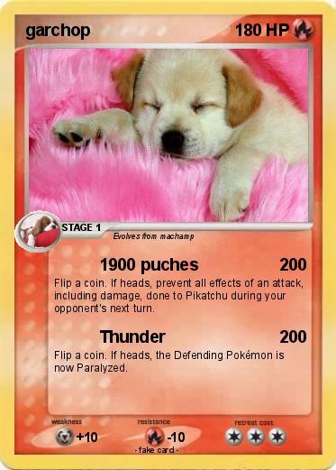 Pokemon garchop