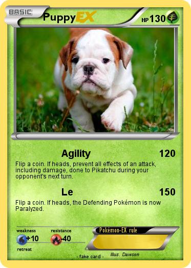 Pokemon Puppy