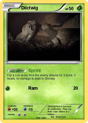 Pokemon Diictwig