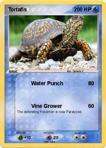 Pokemon Tortafis