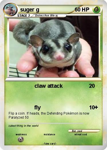 Pokemon suger g