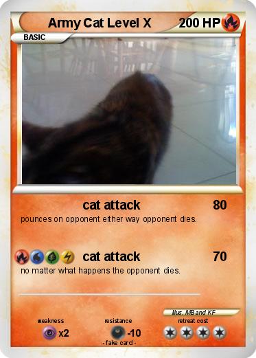 Pokemon Army Cat Level X