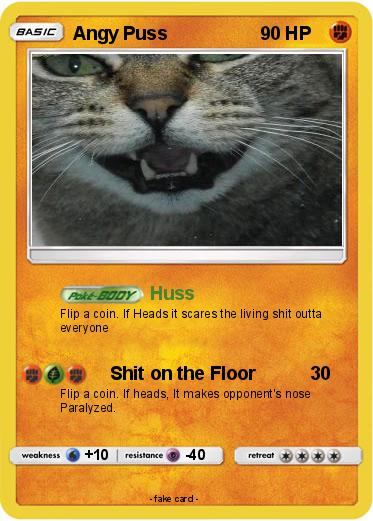 Pokemon Angy Puss