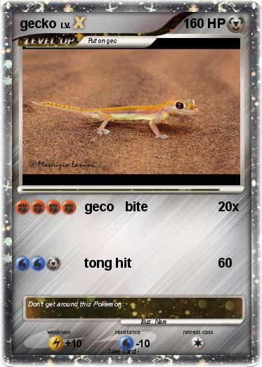 Pokemon gecko