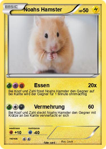 Pokemon Noahs Hamster