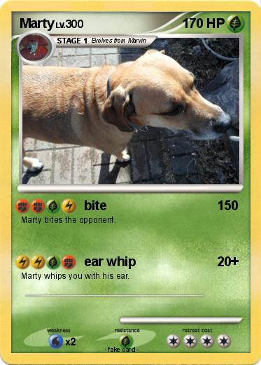 Pokemon Marty