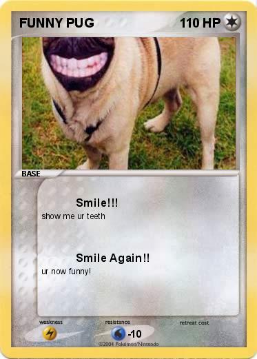 Pokemon FUNNY PUG