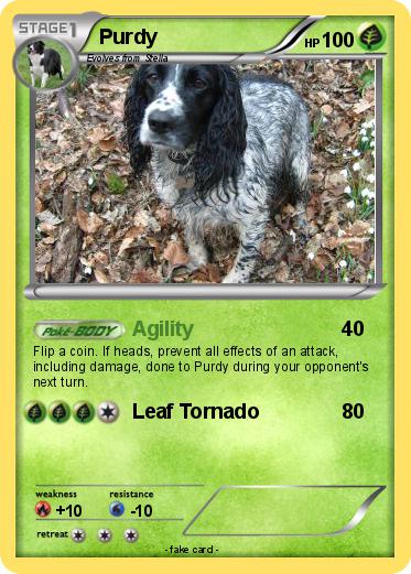 Pokemon Purdy