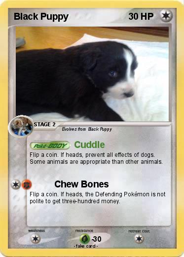 Pokemon Black Puppy