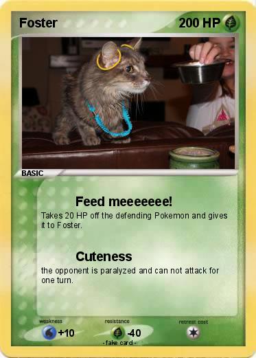 Pokemon Foster
