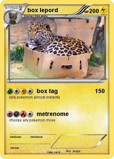 Pokemon box lepord
