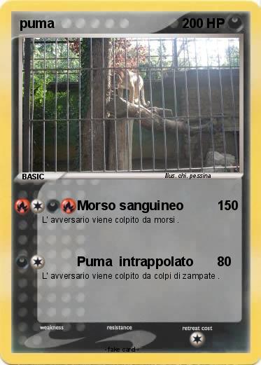 Pokemon puma