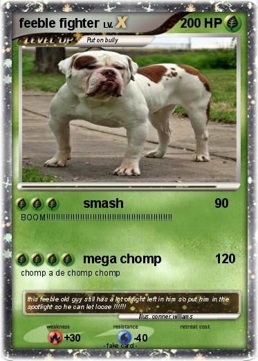 Pokemon feeble fighter