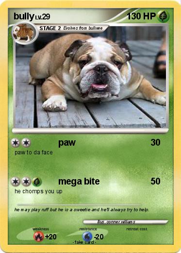 Pokemon bully