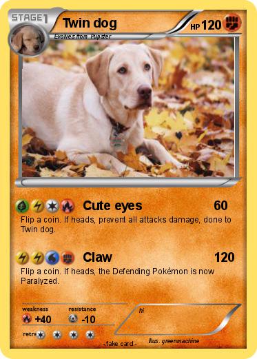 Pokemon Twin dog