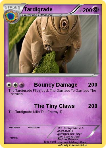 Pokemon Tardigrade