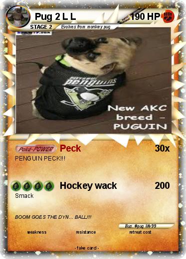 Pokemon Pug 2 L L