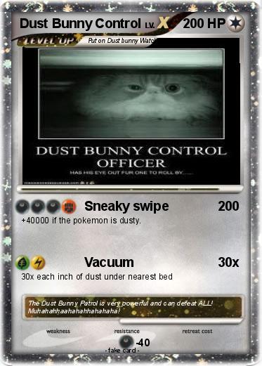 Pokemon Dust Bunny Control