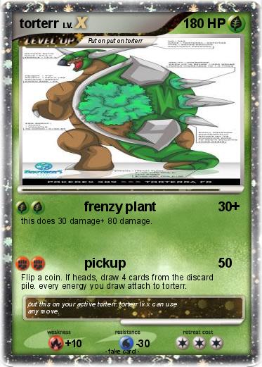 Pokemon torterr