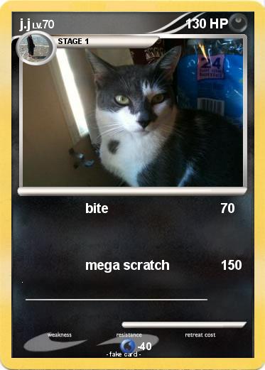 Pokemon j.j