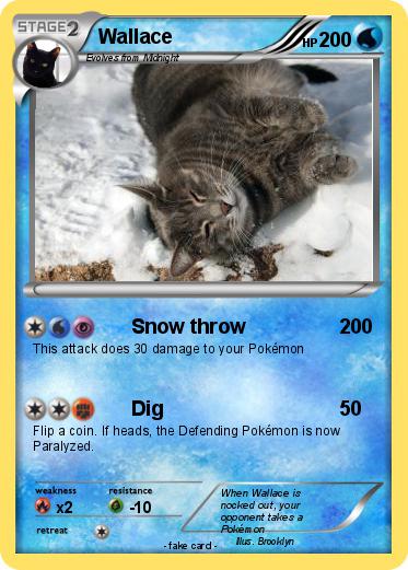 Pokemon Wallace