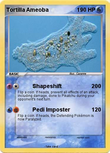 Pokemon Tortilla Ameoba