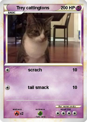 Pokemon Trey cattingtons