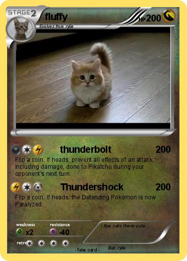 Pokemon fluffy
