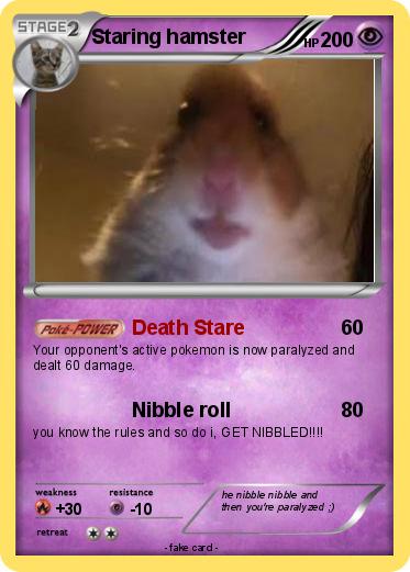 Pokemon Staring hamster