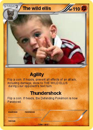 Pokemon The wild ellis