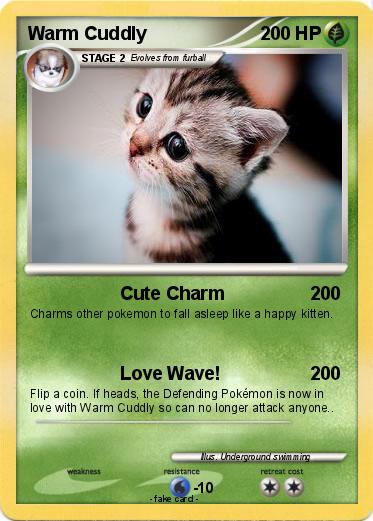 Pokemon Warm Cuddly