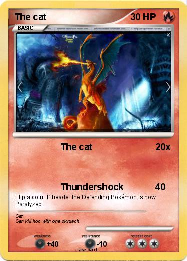 Pokemon The cat
