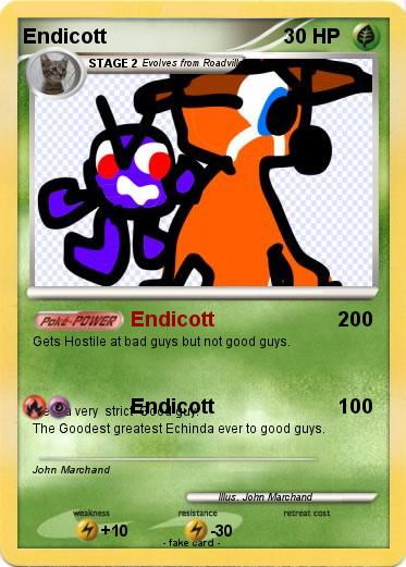 Pokemon Endicott