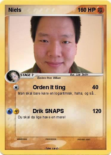 Pokemon Niels