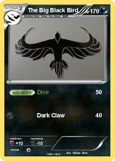 Pokemon The Big Black Bird