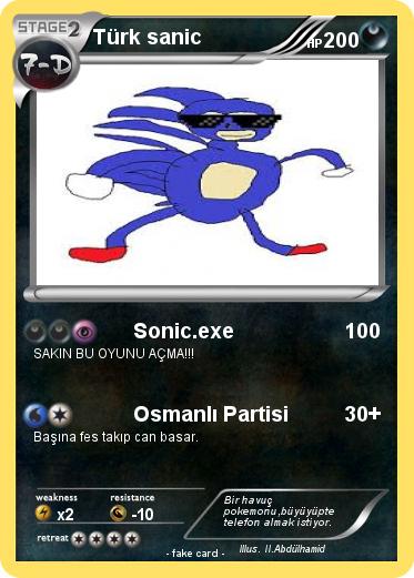 Pokemon Türk sanic
