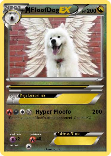 Pokemon FloofDog