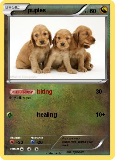 Pokemon pupies
