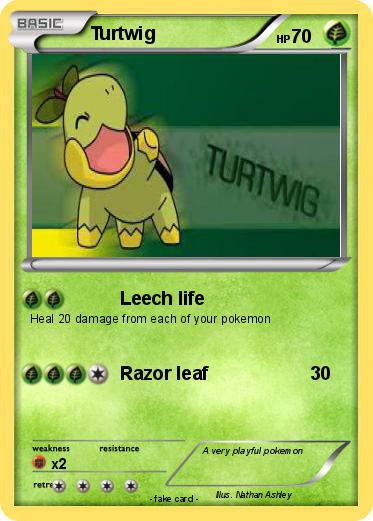 Pokemon Turtwig