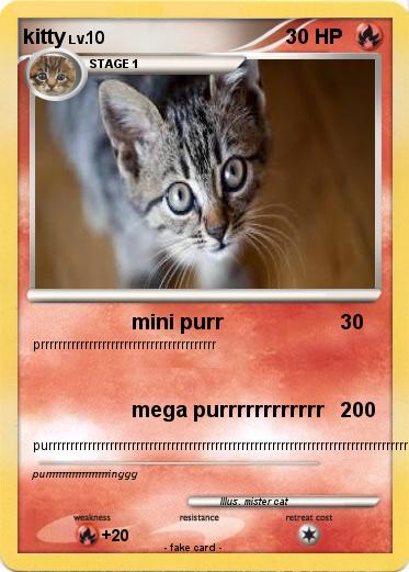 Pokemon kitty