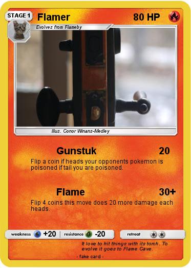Pokemon Flamer