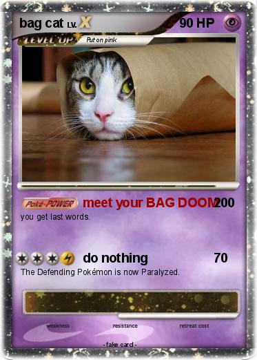 Pokemon bag cat