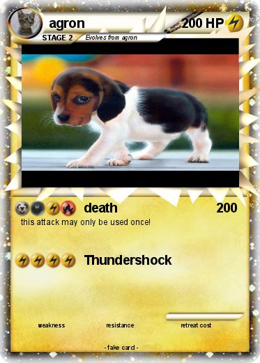 Pokemon agron