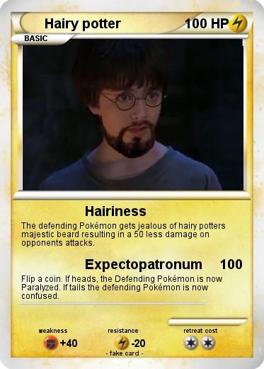 Pokemon Hairy potter