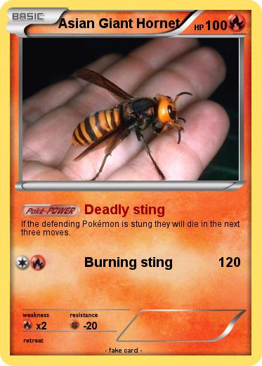 Pokemon Asian Giant Hornet