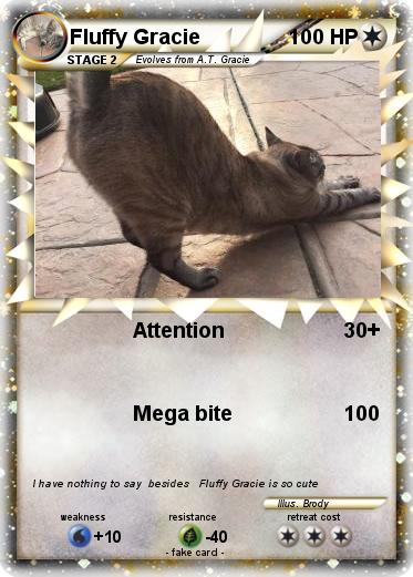 Pokemon Fluffy Gracie