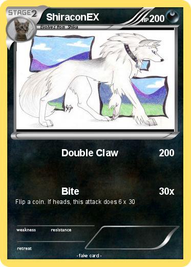 Pokemon ShiraconEX