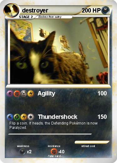Pokemon destroyer
