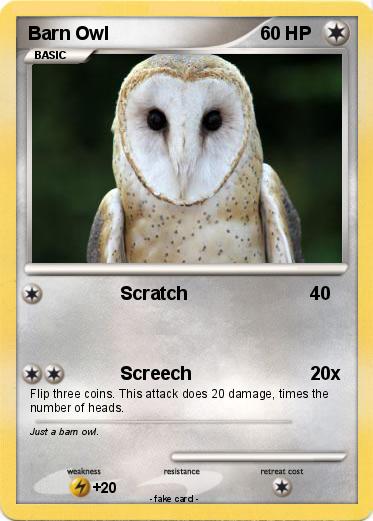 Pokemon Barn Owl